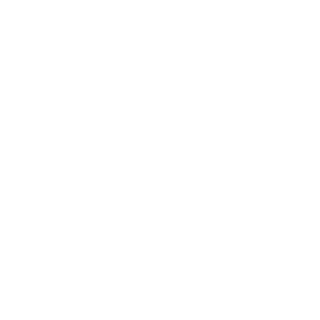 Ironclad Digital Media